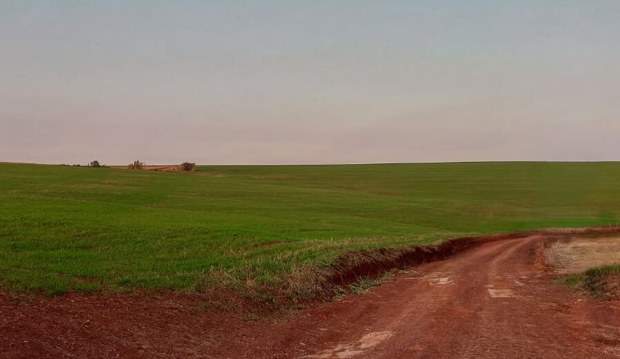 Foto do imovel Imóvel